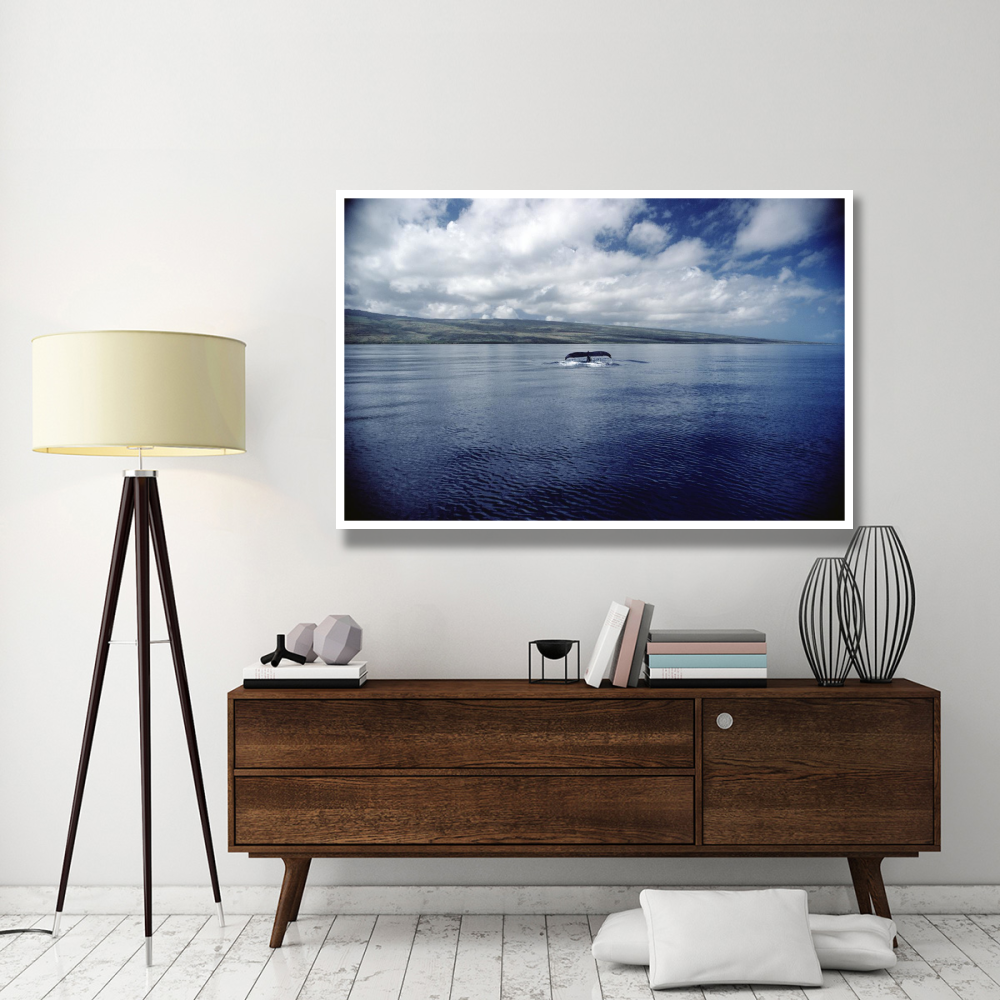 Humpback Whale tail slap, Hawaii-Paper Art-62&quotx42"