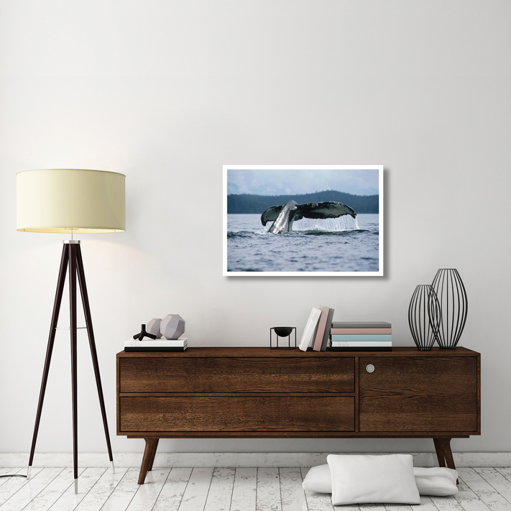Humpback Whale tail, Alaska-Paper Art-38&quotx26"