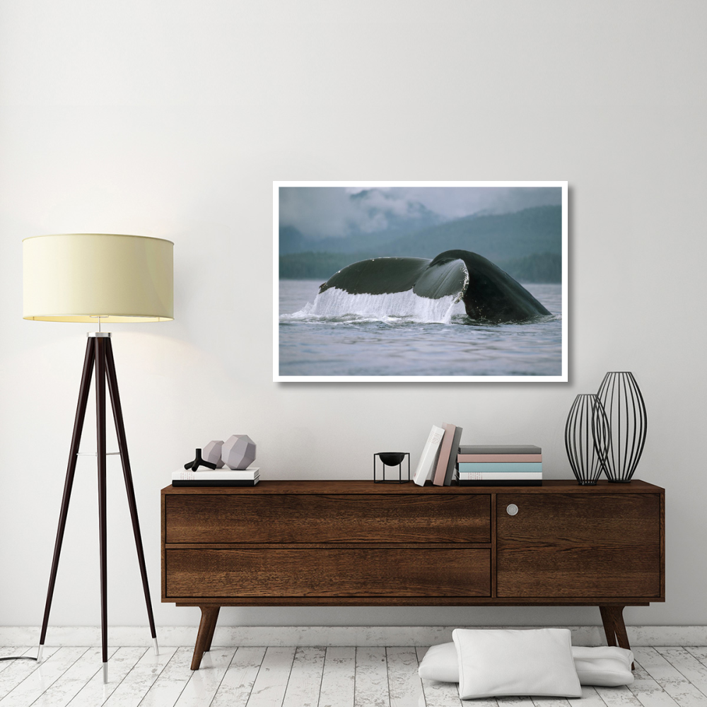 Humpback Whale tail, Alaska-Paper Art-50&quotx34"