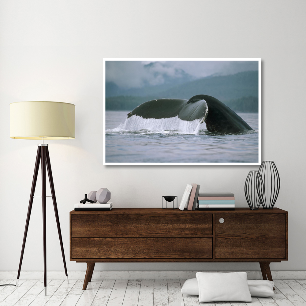 Humpback Whale tail, Alaska-Paper Art-62&quotx42"
