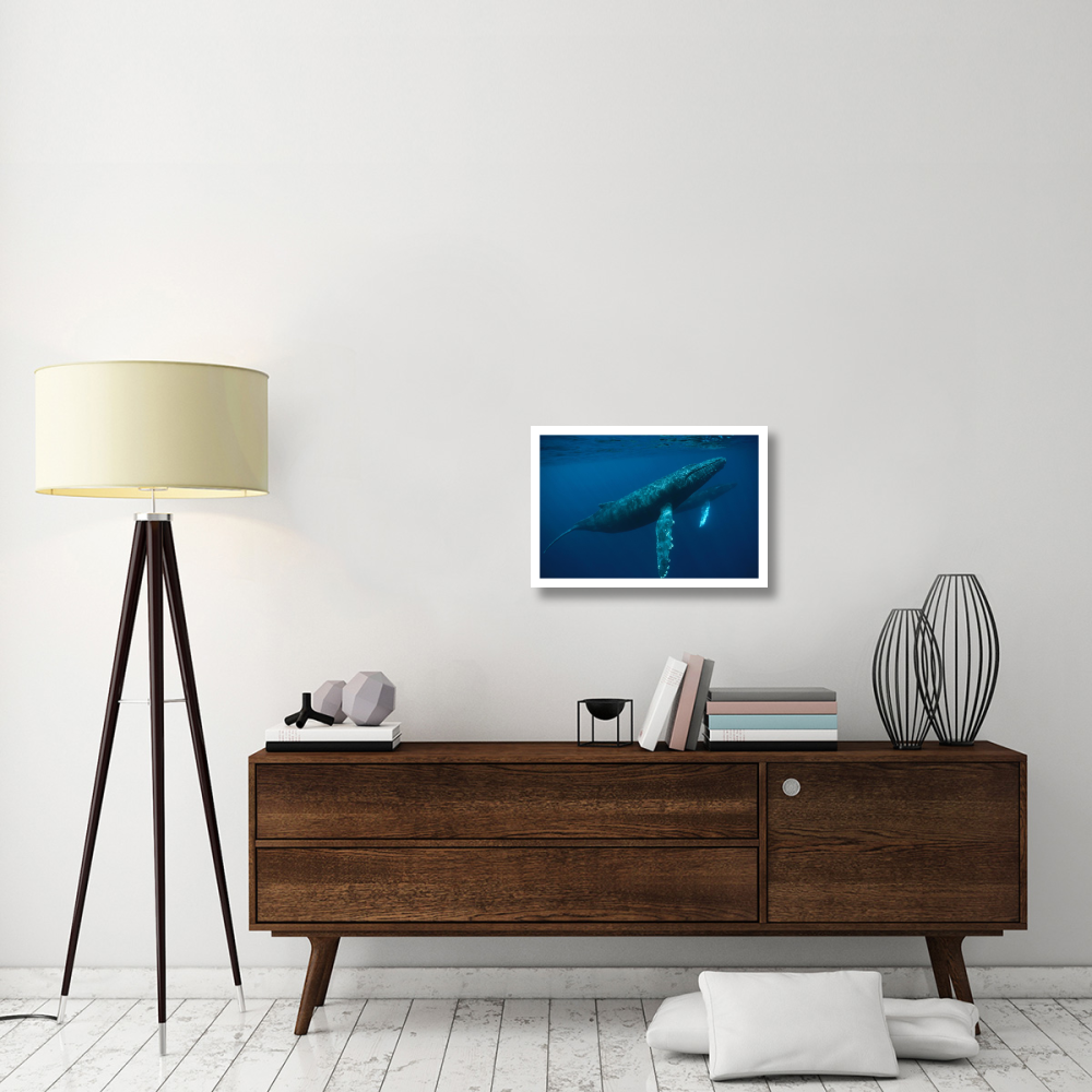 Humpback Whale mother and young, Hawaii-Paper Art-26&quotx18"