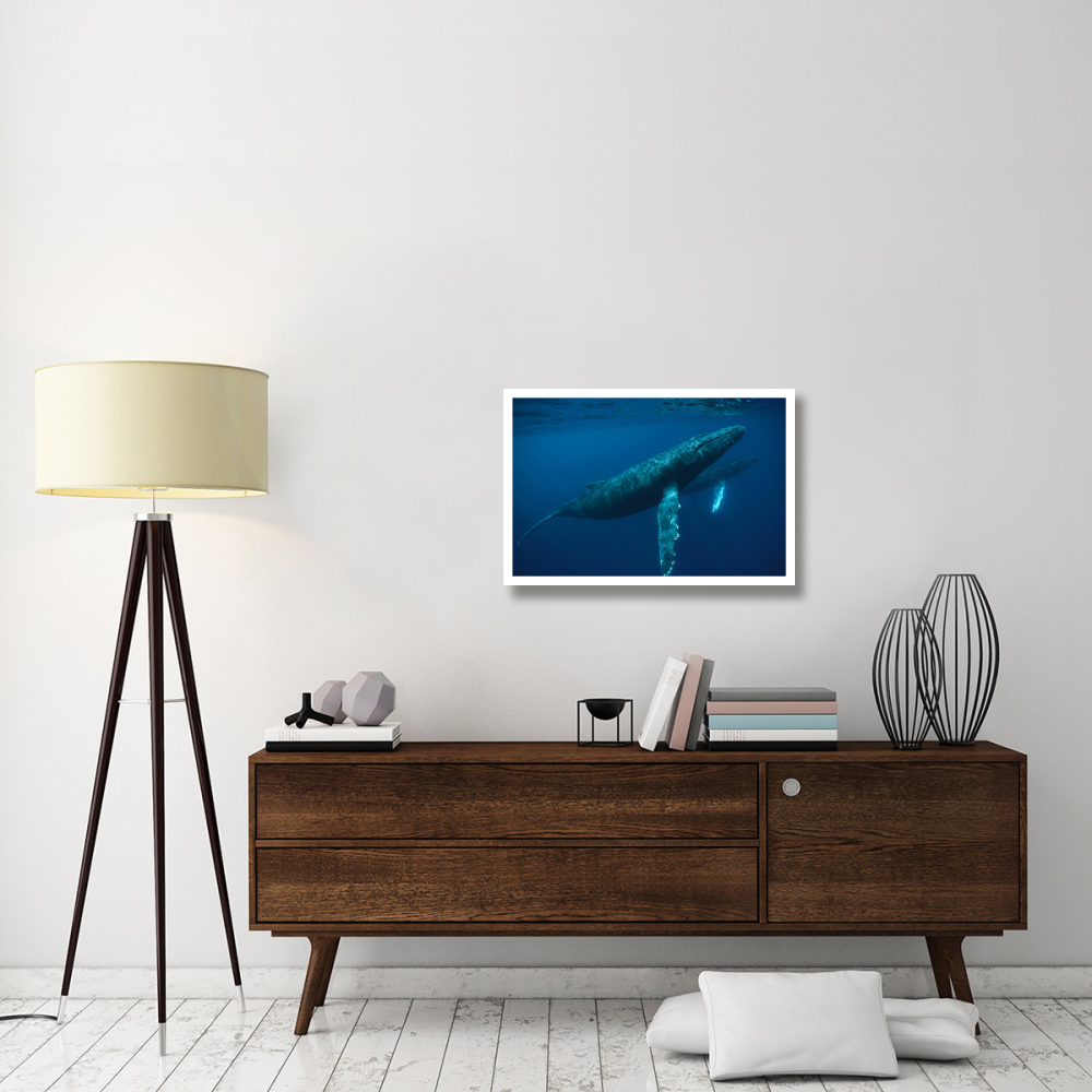 Humpback Whale mother and young, Hawaii-Paper Art-32&quotx22"