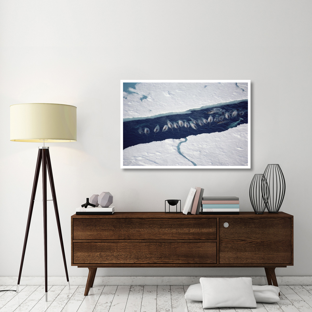 Narwhal group in ice break-Paper Art-50&quotx34"