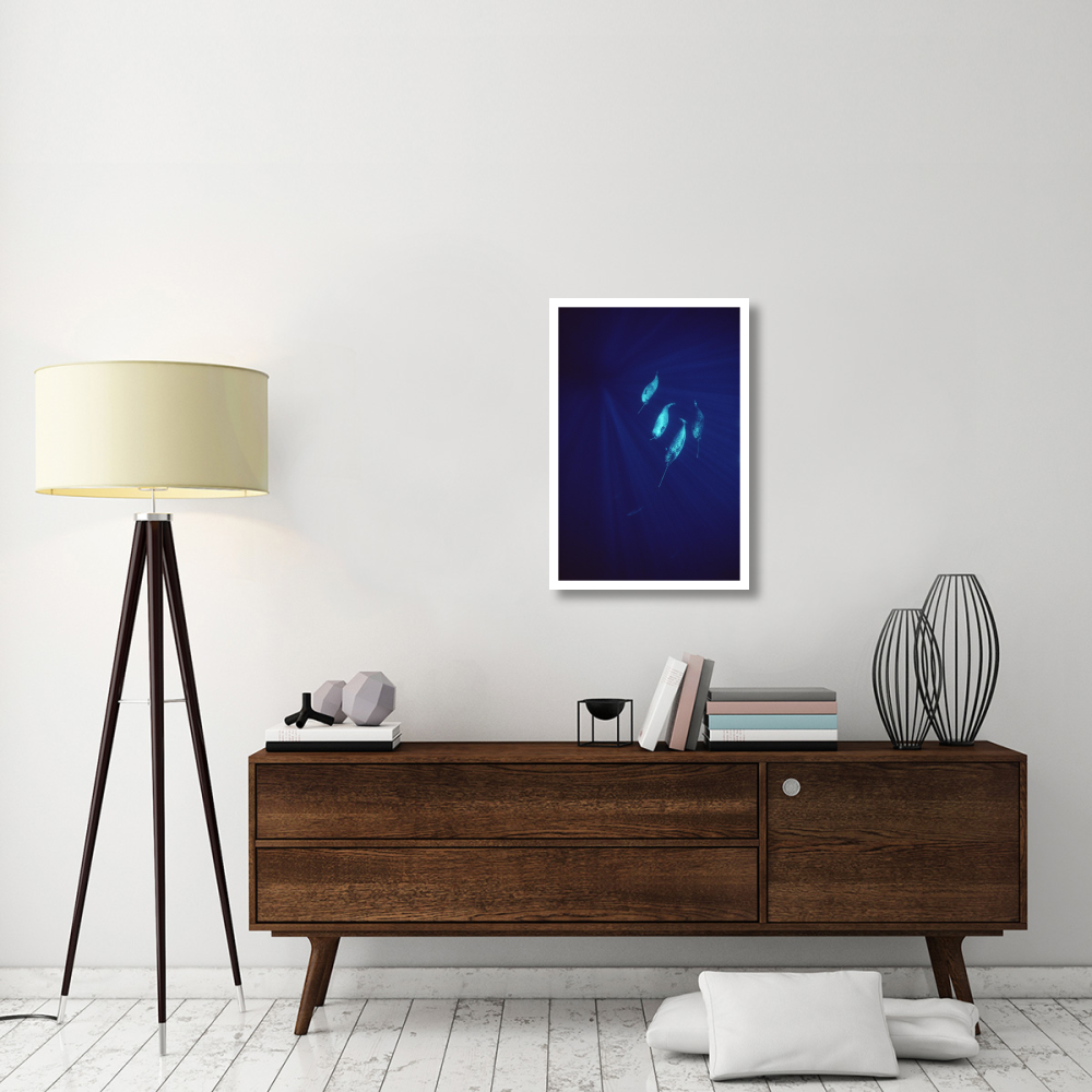 Narwhal pod underwater-Paper Art-22&quotx32"