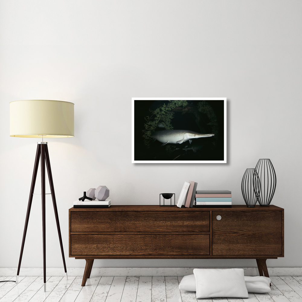Alligator Gar-Paper Art-38&quotx26"