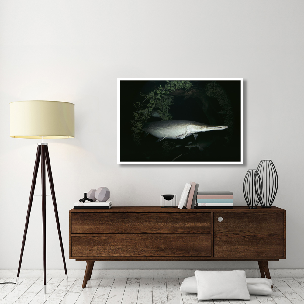 Alligator Gar-Paper Art-50&quotx34"