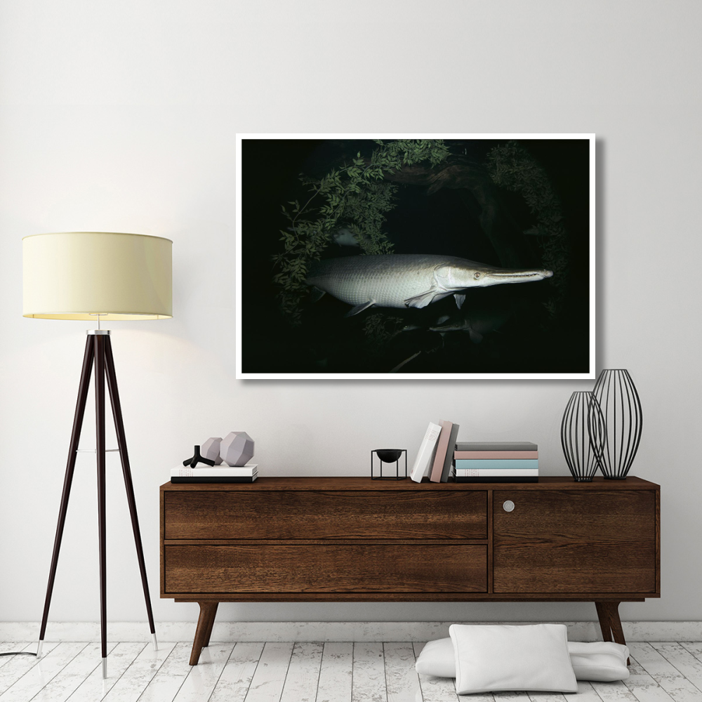 Alligator Gar-Paper Art-62&quotx42"