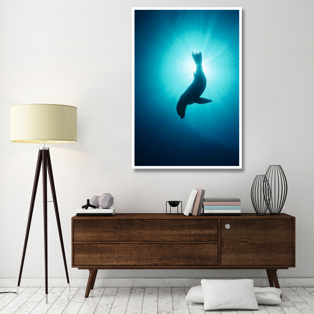 California Sea Lion underwater, Channel Islands National Park, California-Paper Art-42&quotx62"