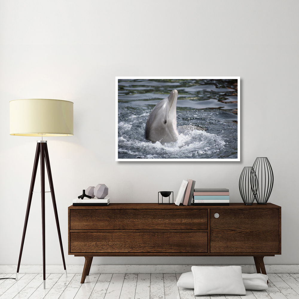 Bottlenose Dolphin, Hawaii-Paper Art-50&quotx34"