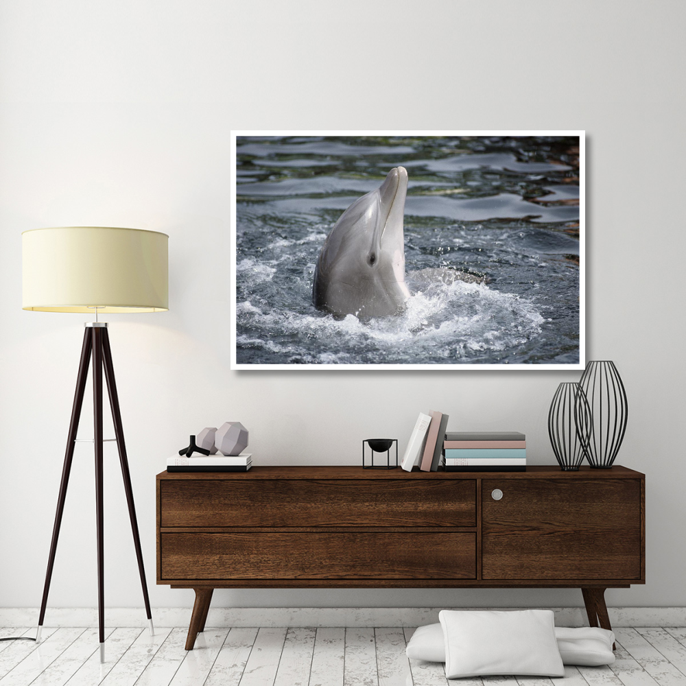 Bottlenose Dolphin, Hawaii-Paper Art-62&quotx42"