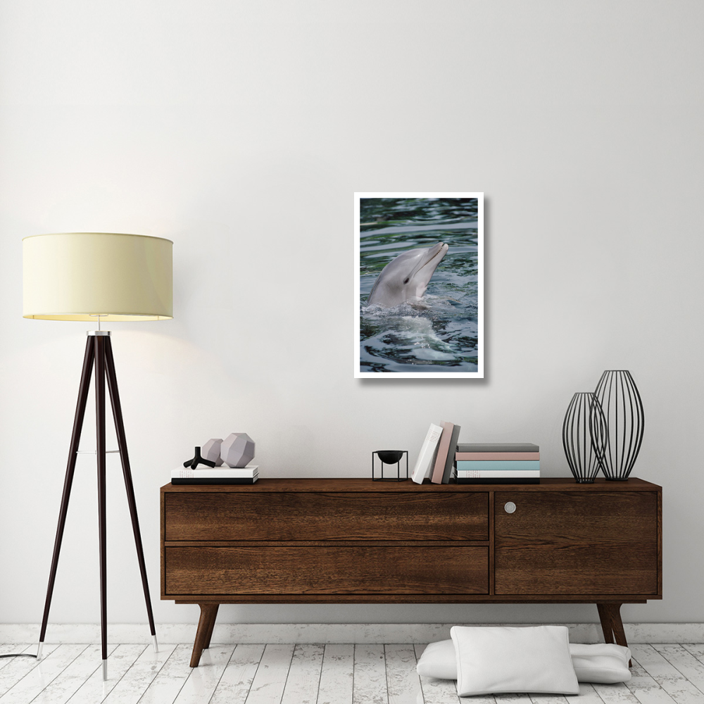 Bottlenose Dolphin portrait-Paper Art-22&quotx32"