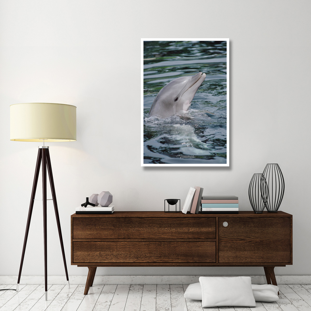 Bottlenose Dolphin portrait-Paper Art-34&quotx50"