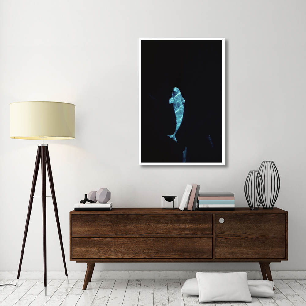 Beluga whale portrait at 200 ft depth, Lancaster Sound, Nunavut, Canada-Paper Art-34&quotx50"