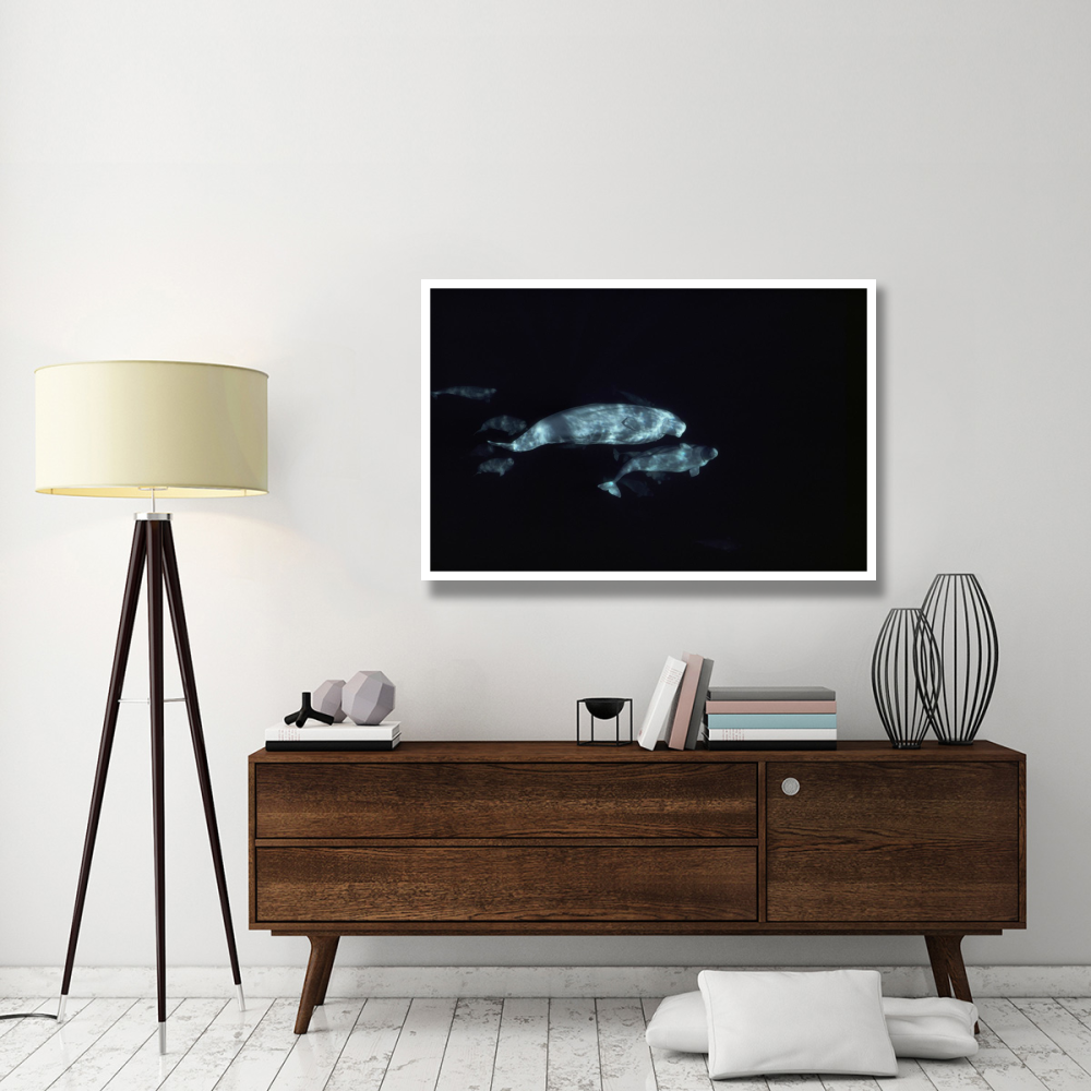 Beluga group underwater-Paper Art-50&quotx34"