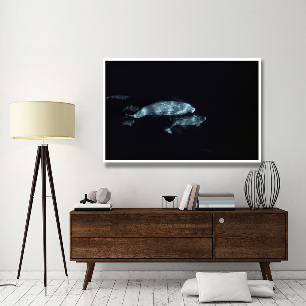 Beluga group underwater-Paper Art-62&quotx42"