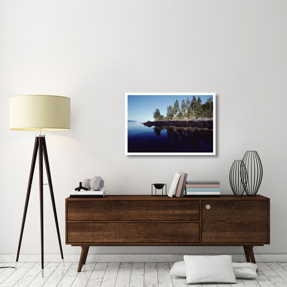 High tide mark shows oil spilled by Exxon Valdez, Prince William Sound, Alaska-Paper Art-38&quotx26"