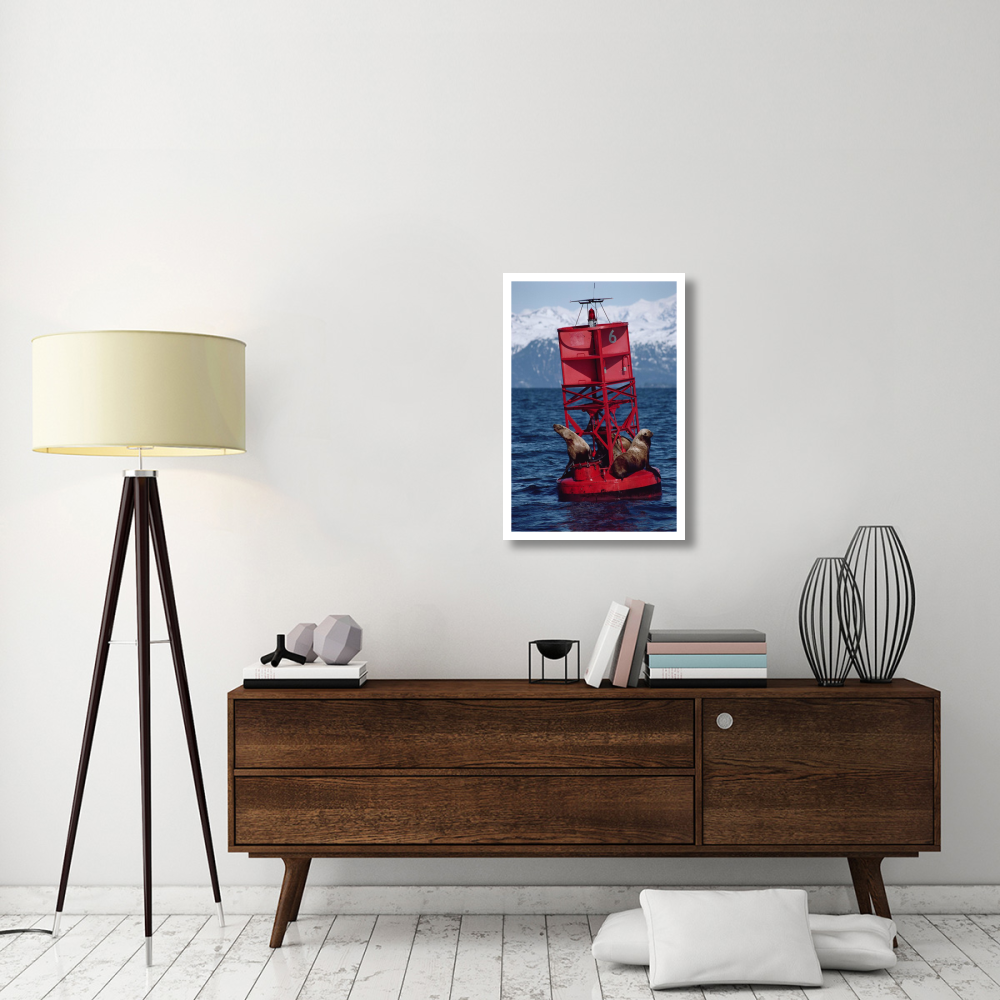 Oil stained Steller's Sea Lions, Exxon Valdez Oil Spill, Prince William Sound, Alaska-Paper Art-22&quotx32"