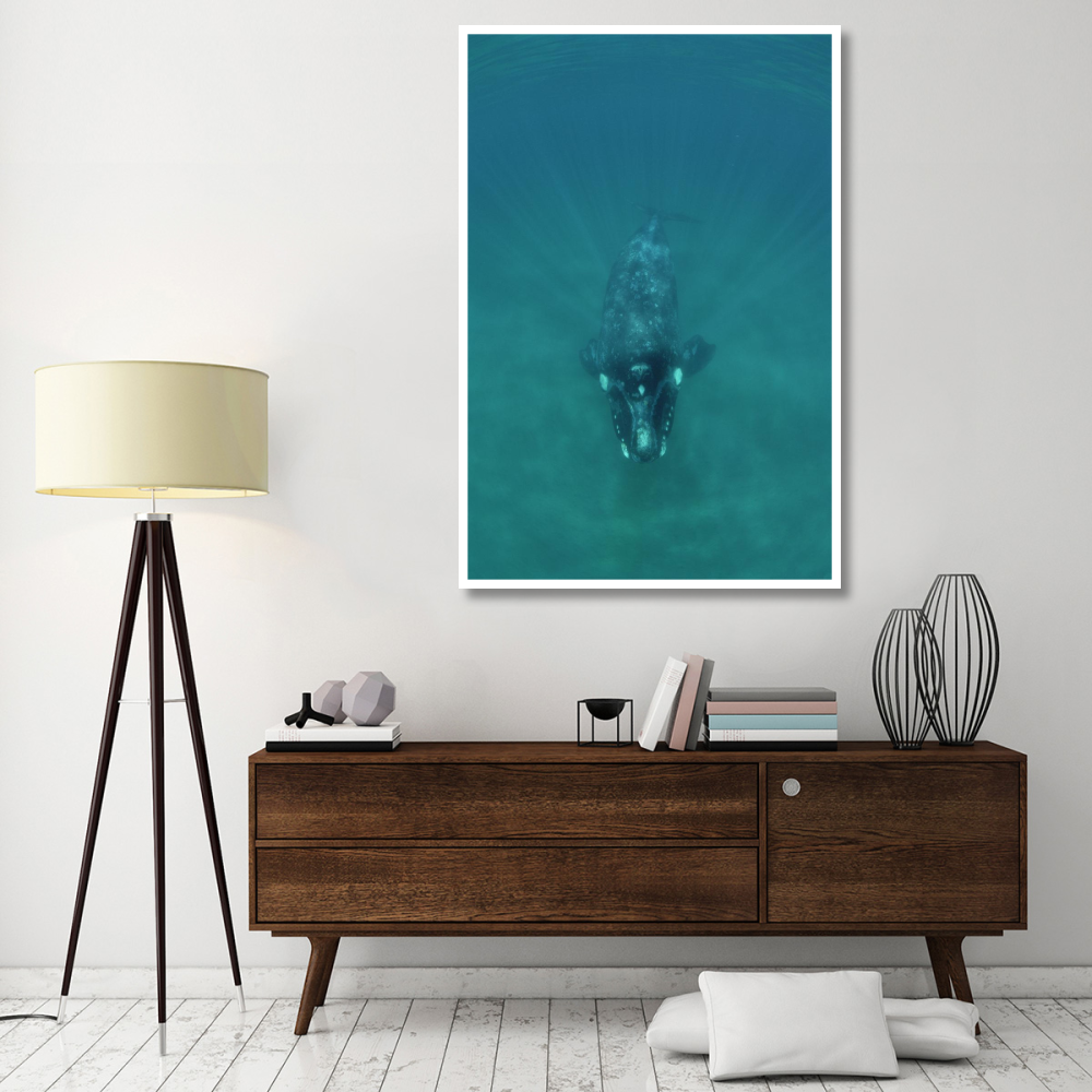 Southern Right Whale underwater, Peninsula Valdez, Argentina-Paper Art-42&quotx62"