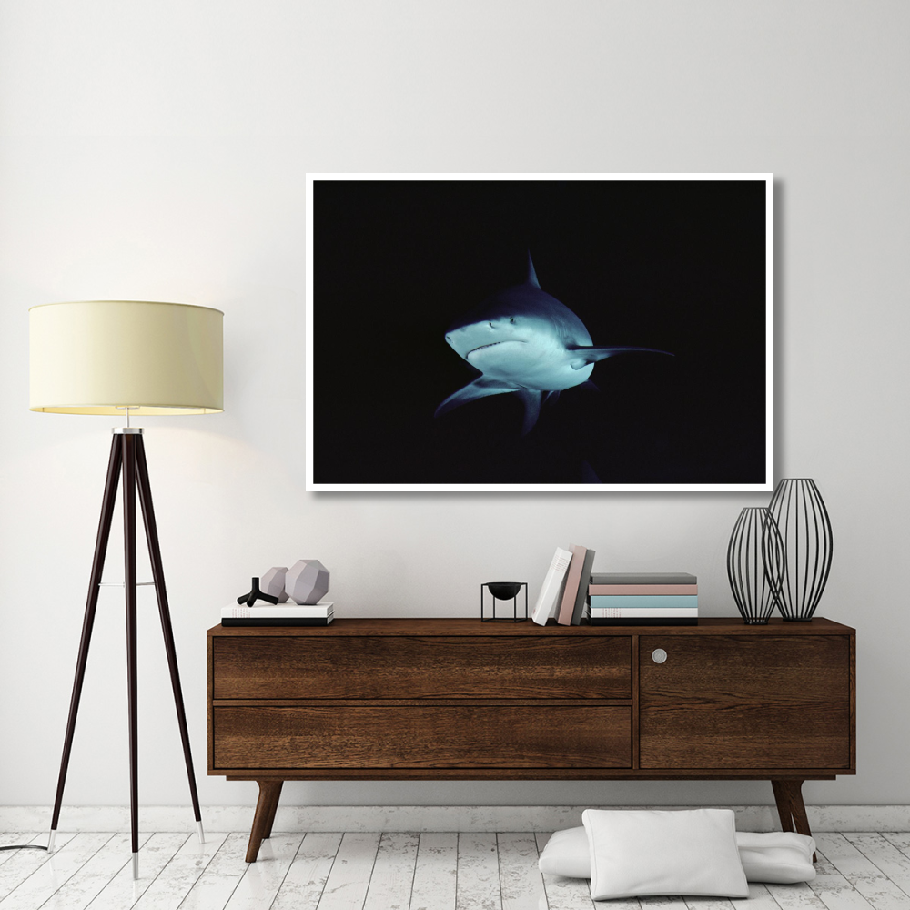 Bull Shark underwater portrait, North America-Paper Art-62&quotx42"