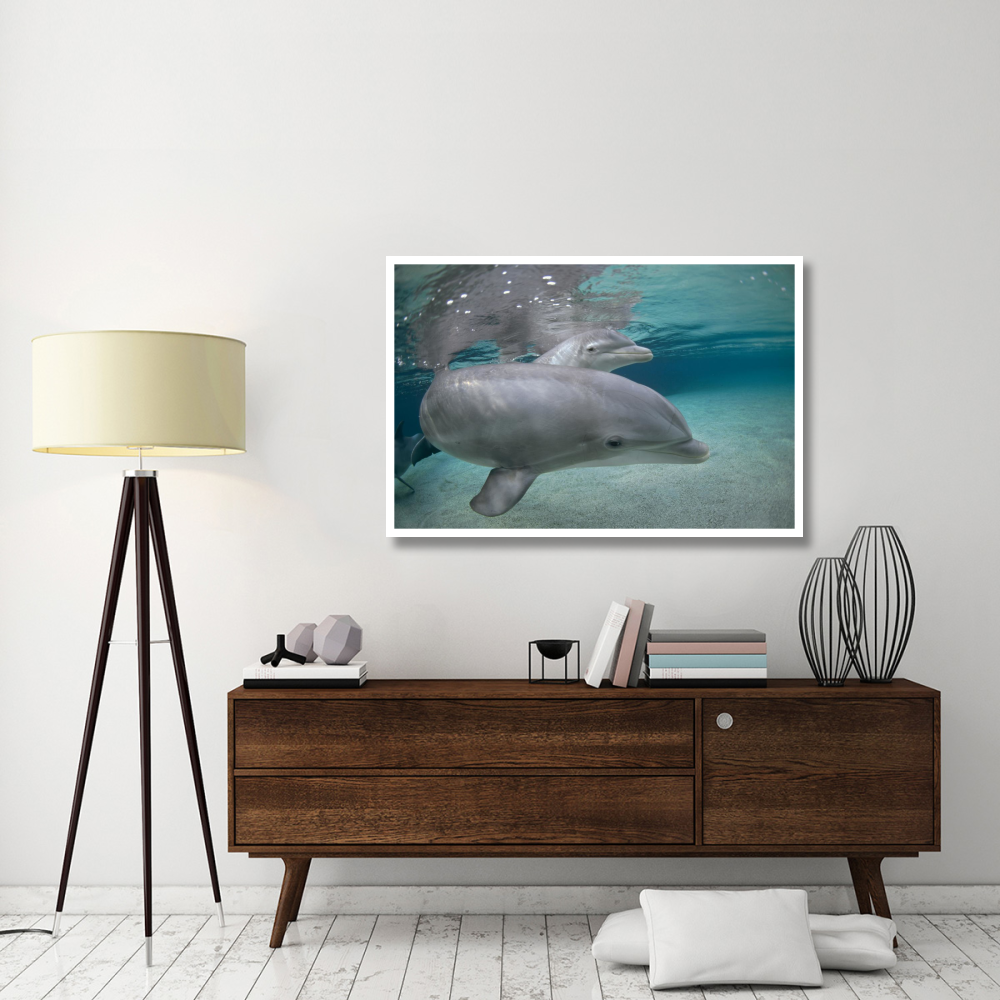 Bottlenose Dolphin, Hawaii-Paper Art-50&quotx34"
