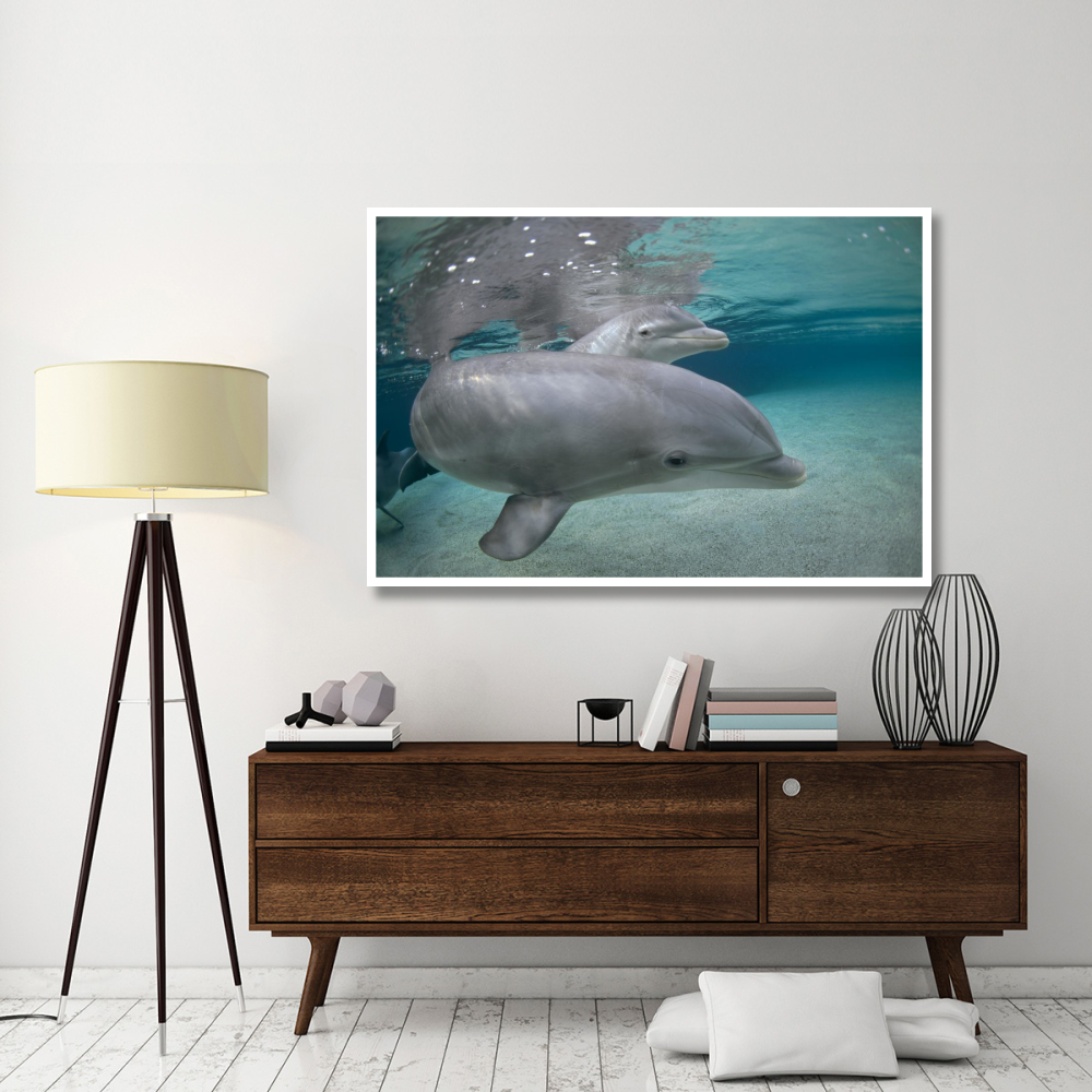 Bottlenose Dolphin, Hawaii-Paper Art-62&quotx42"