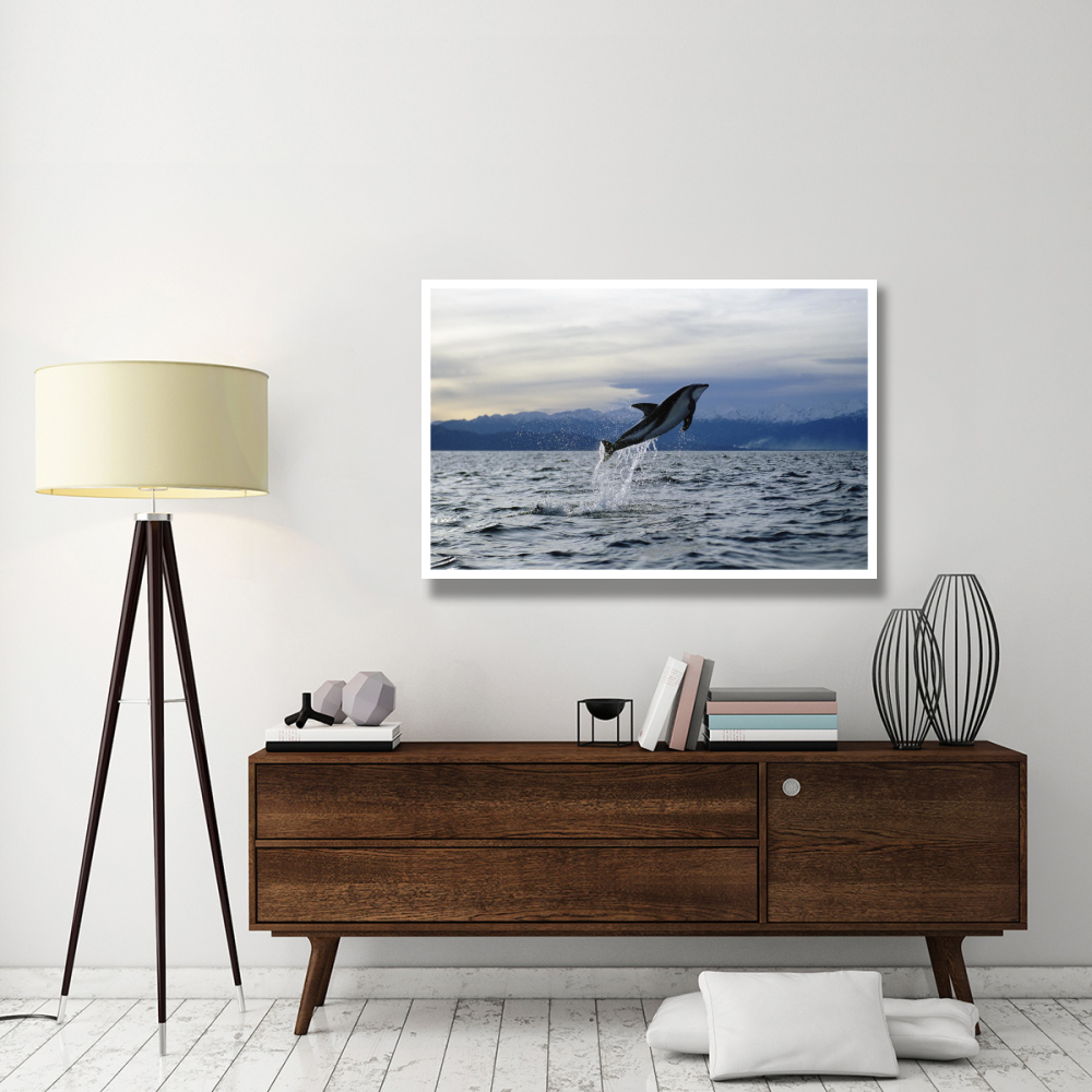 Dusky Dolphin leaping, New Zealand-Paper Art-50&quotx34"