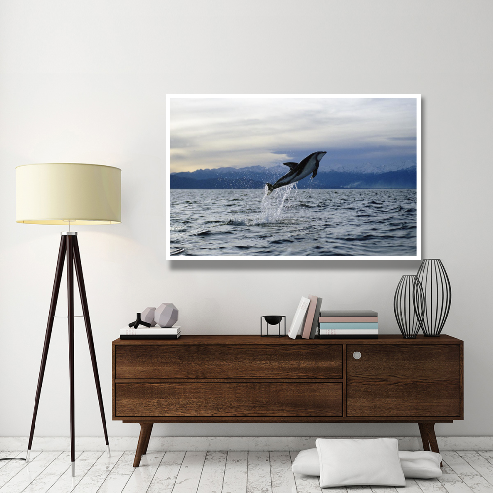 Dusky Dolphin leaping, New Zealand-Paper Art-62&quotx42"