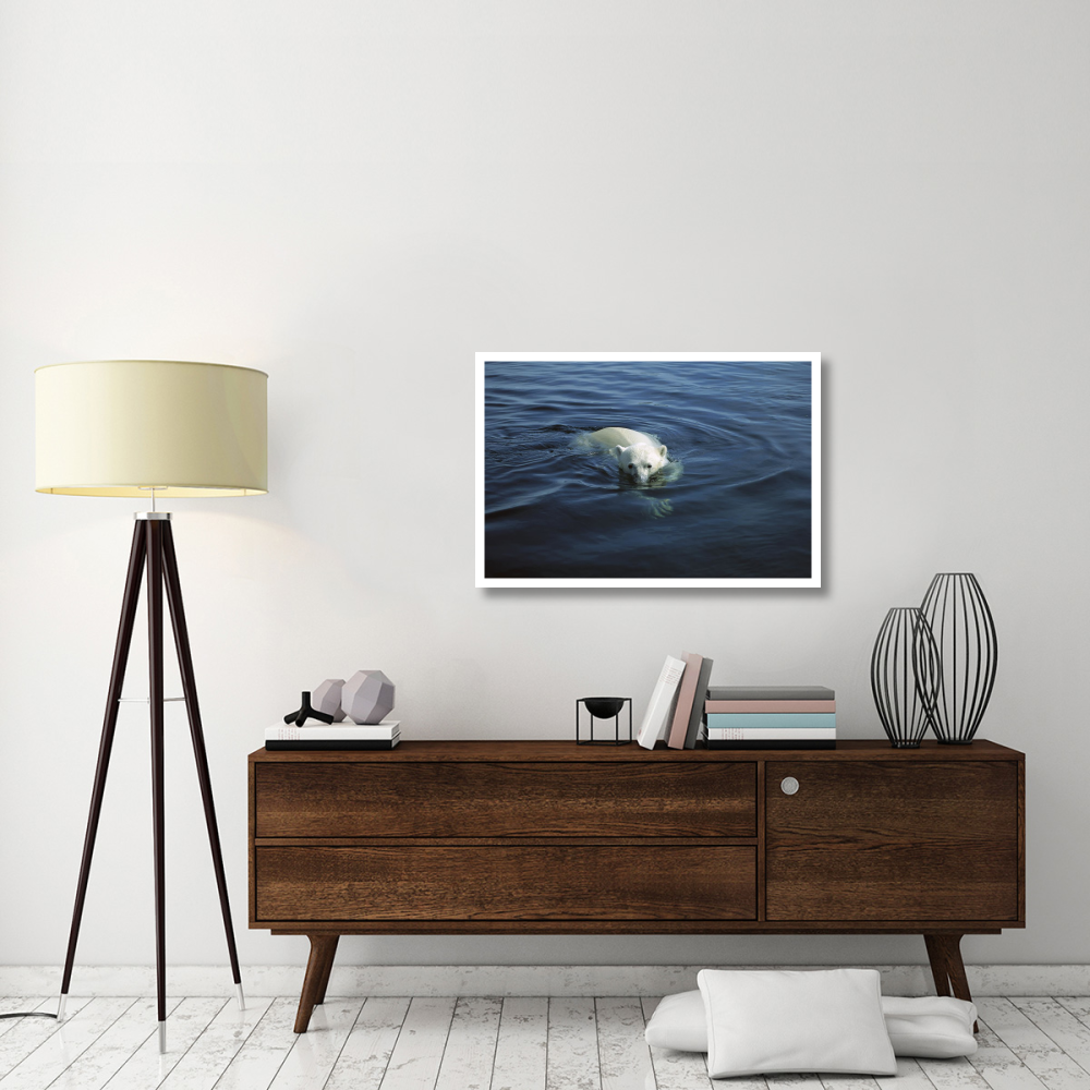 Polar Bear swimming, Wager Bay, Canada-Paper Art-38&quotx26"