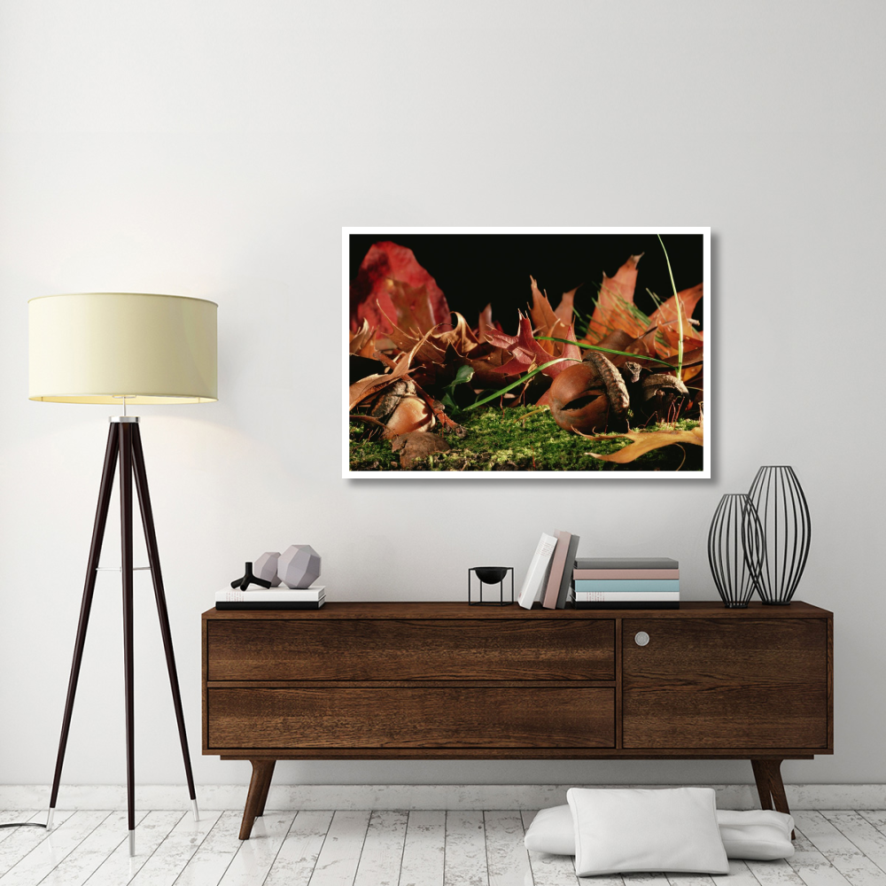 Northern Red Oak tree with acorns, Massachusetts-Paper Art-50&quotx34"