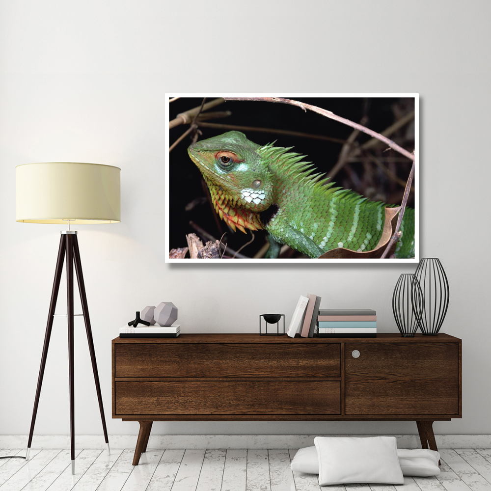 Lizard portrait, Sinharaja Biosphere Reserve, Sri Lanka-Paper Art-62&quotx42"