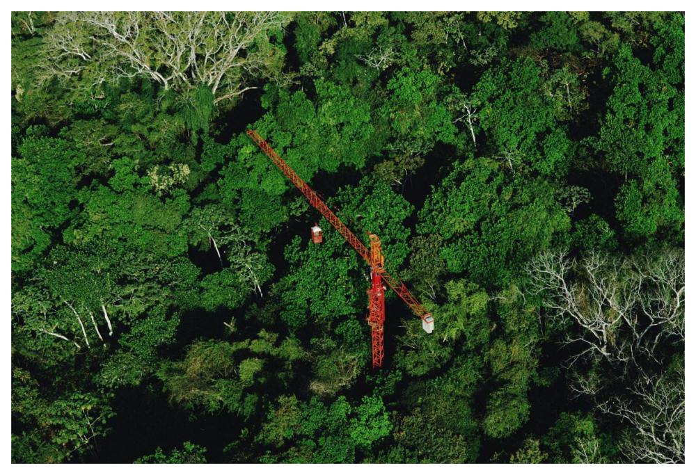 Rainforest canopy research crane STRI, Panama-Paper Art-62"x42"