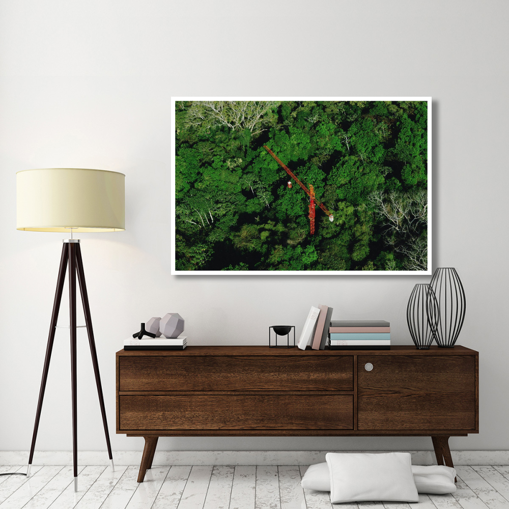 Rainforest canopy research crane STRI, Panama-Paper Art-62&quotx42"
