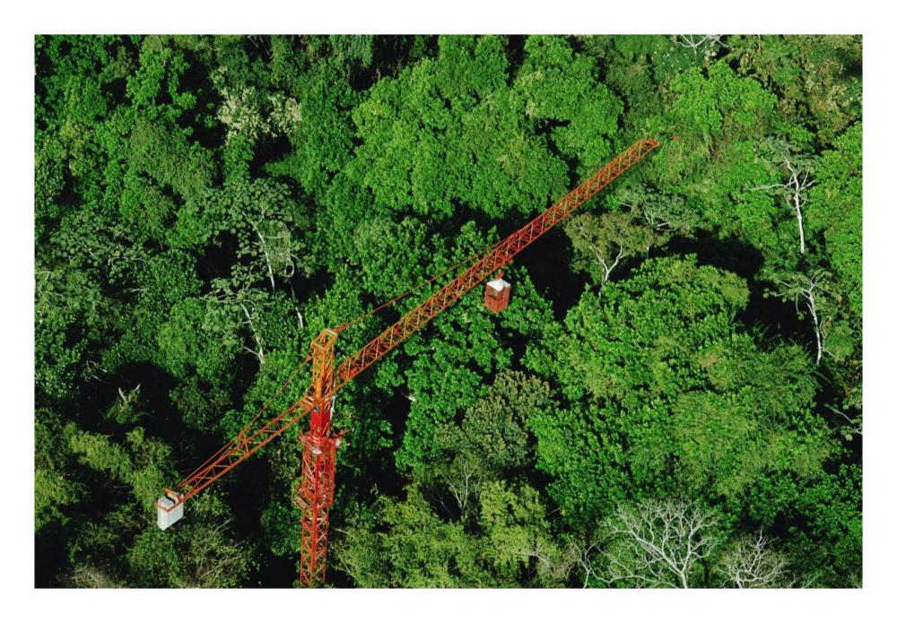 Rainforest canopy research crane, STRI, Panama-Paper Art-26"x18"
