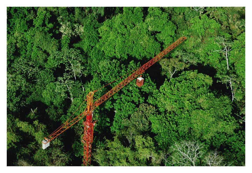 Rainforest canopy research crane, STRI, Panama-Paper Art-38"x26"