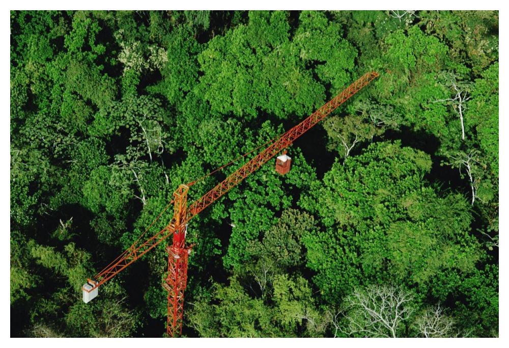 Rainforest canopy research crane, STRI, Panama-Paper Art-50"x34"