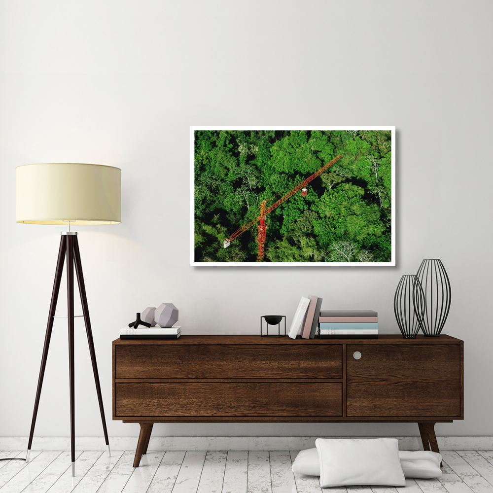 Rainforest canopy research crane, STRI, Panama-Paper Art-50&quotx34"