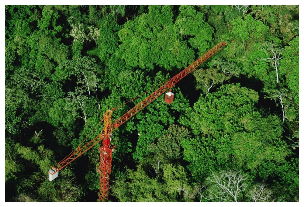 Rainforest canopy research crane, STRI, Panama-Paper Art-62"x42"
