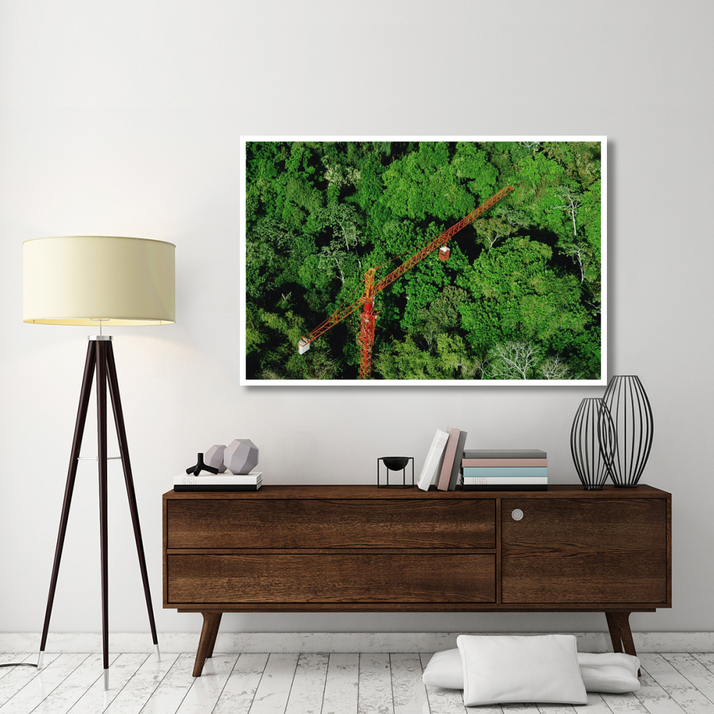 Rainforest canopy research crane, STRI, Panama-Paper Art-62&quotx42"