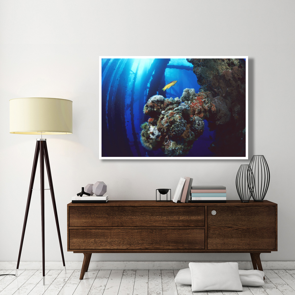 Coral growing on oil rig, Flower Garden Banks NMS, Texas-Paper Art-62&quotx42"