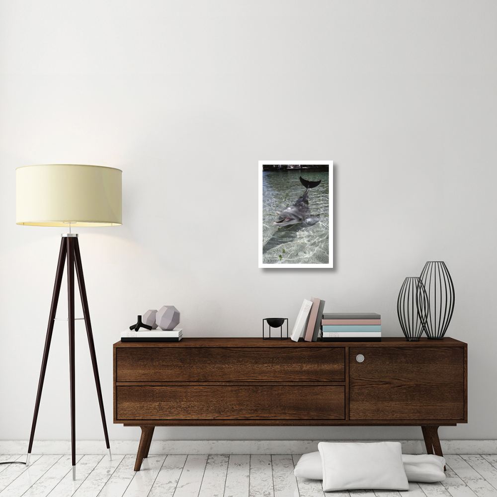 Dusky Dolphin pair surfacing, New Zealand-Paper Art-18&quotx26"