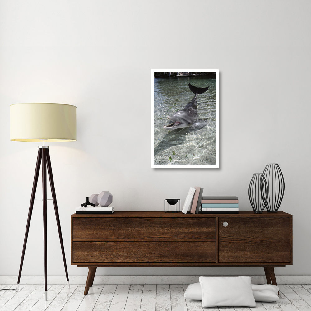 Dusky Dolphin pair surfacing, New Zealand-Paper Art-26&quotx38"
