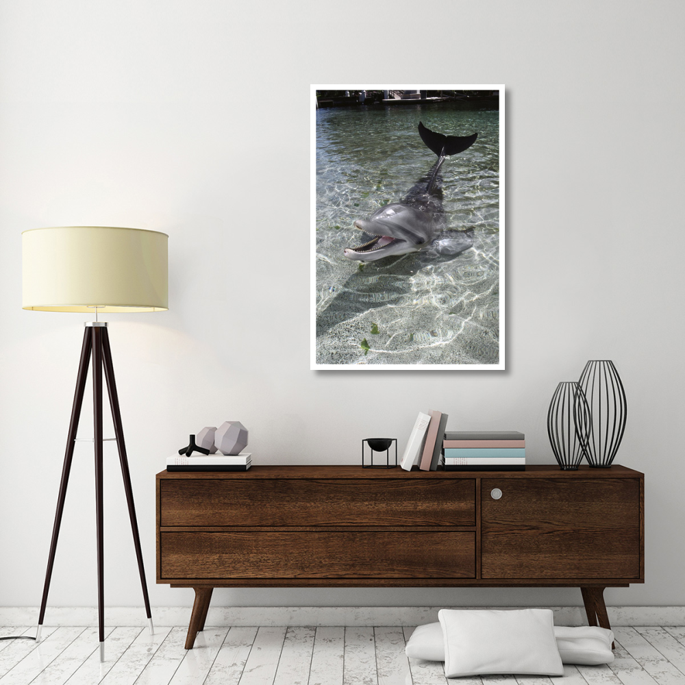 Dusky Dolphin pair surfacing, New Zealand-Paper Art-34&quotx50"