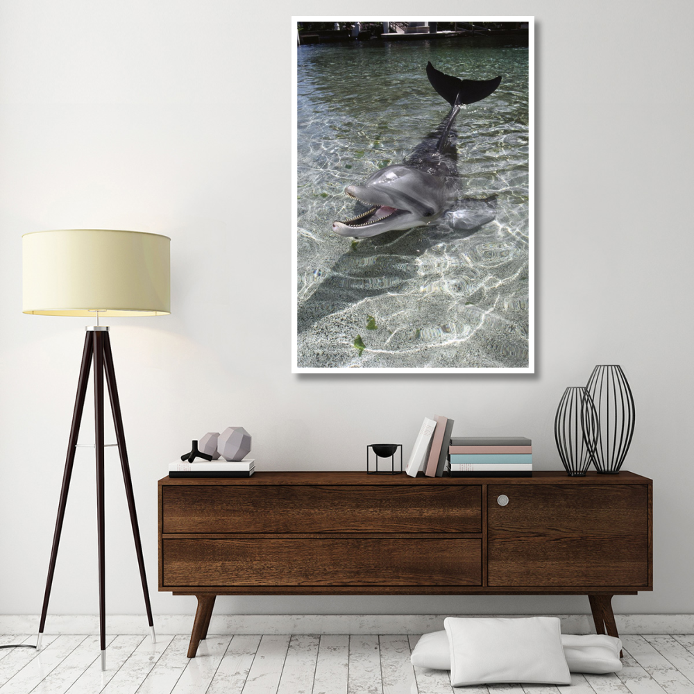 Dusky Dolphin pair surfacing, New Zealand-Paper Art-42&quotx62"