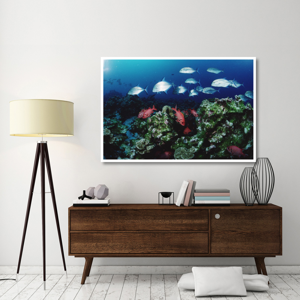 Cavalla and Squirrelfish schools patrolling reef, Cocos Island, Costa Rica-Paper Art-62&quotx42"