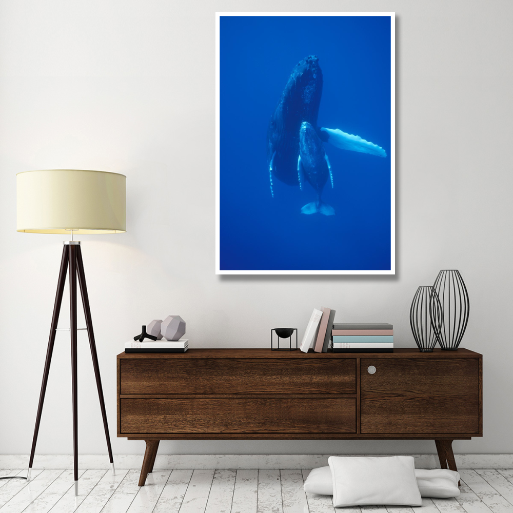Humpback Whale cow and calf resting, Maui, Hawaii-Paper Art-42&quotx62"