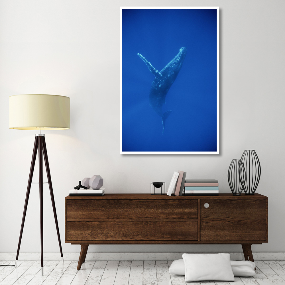 Humpback Whale swimming, underwater, Hawaii-Paper Art-42&quotx62"