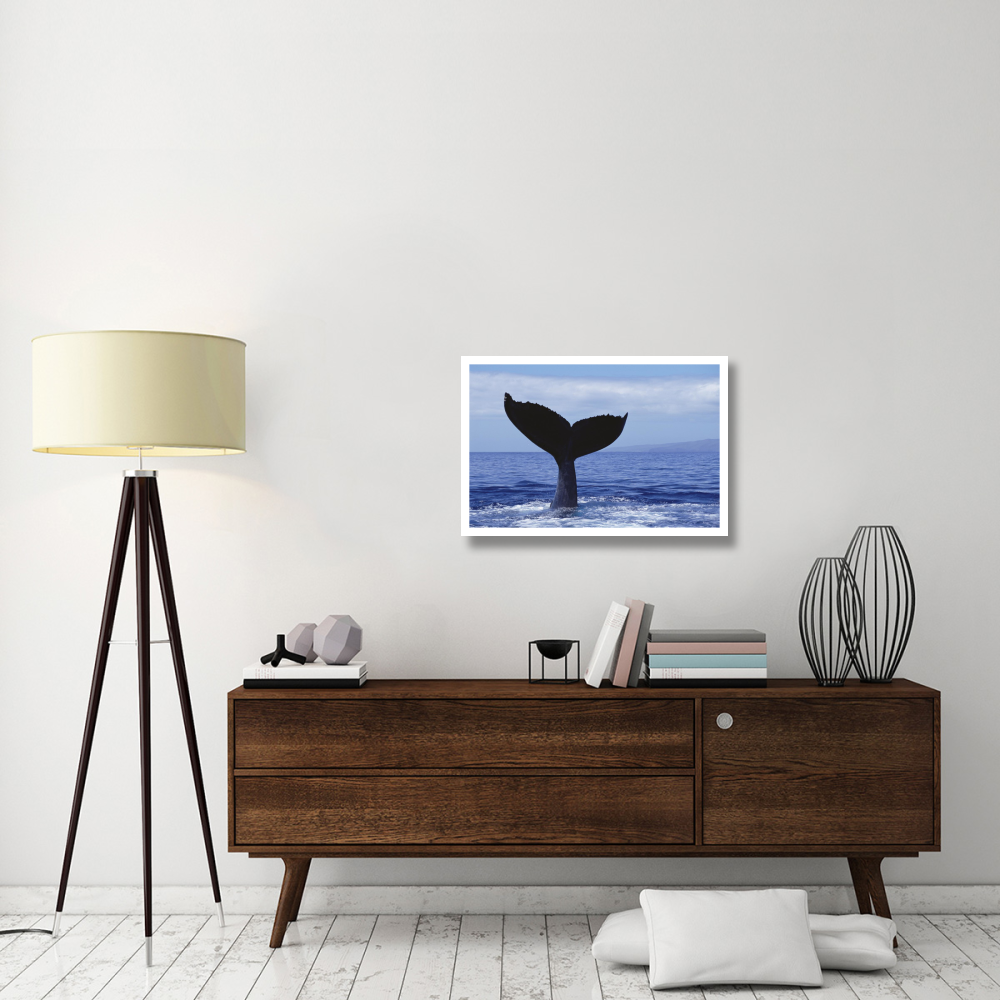 Humpback Whale tail lob, Maui, Hawaii-Paper Art-32&quotx22"