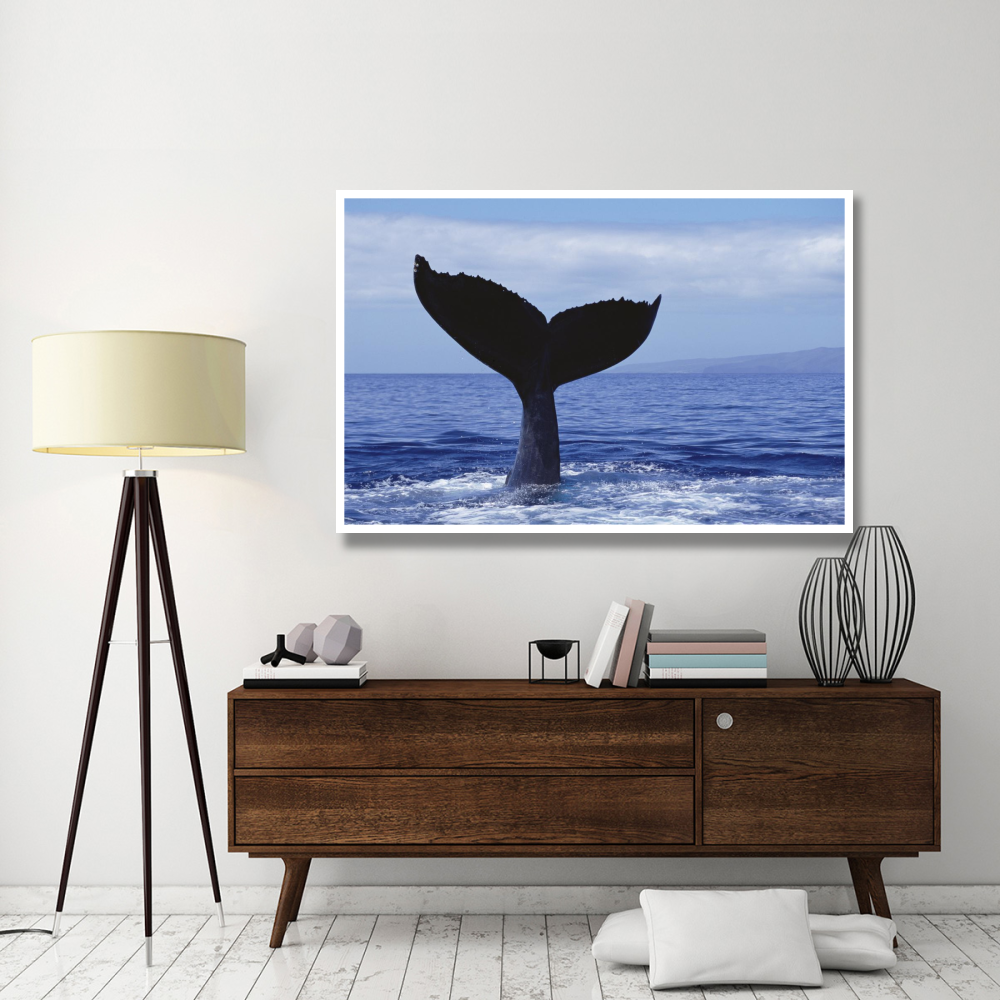 Humpback Whale tail lob, Maui, Hawaii-Paper Art-62&quotx42"