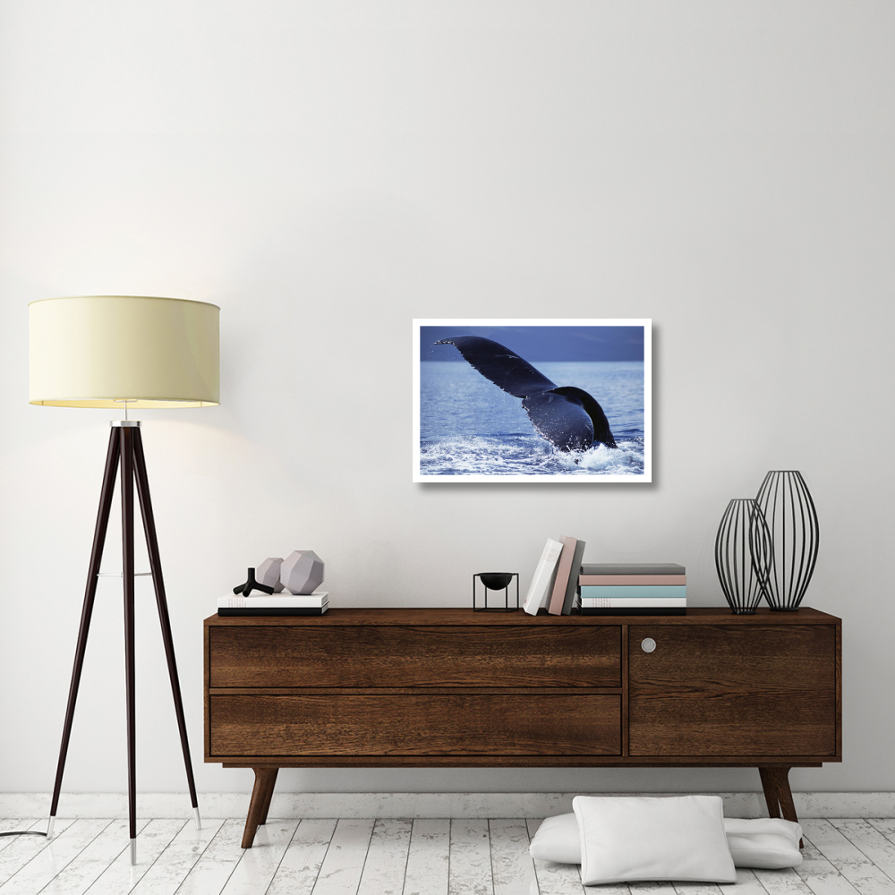 Humpback Whale tail lobs, Maui, Hawaii-Paper Art-32&quotx22"