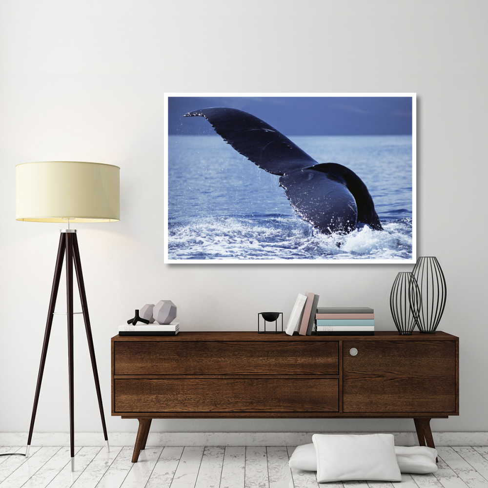 Humpback Whale tail lobs, Maui, Hawaii-Paper Art-62&quotx42"